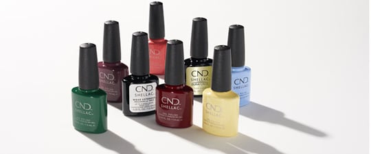 Example_Bottom_CND-SHL