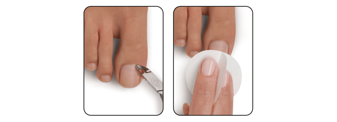 17.Shellac_Application_9_cutical-feet